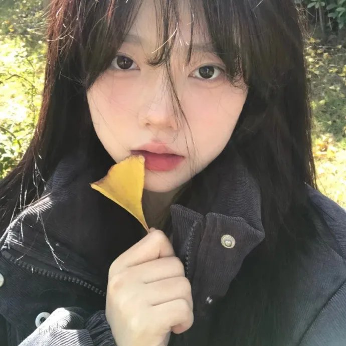 红罂粟2